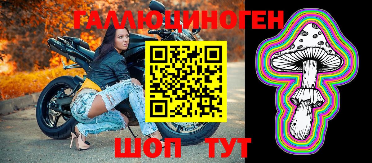 Галлюциногенные грибы Cubensis Бердск