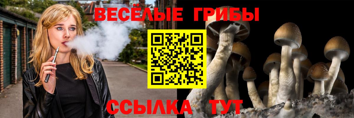Галлюциногенные грибы мицелий  Галлюциногенные грибы MAGIC MUSHROOMS  Бердск  Вход с VPN 